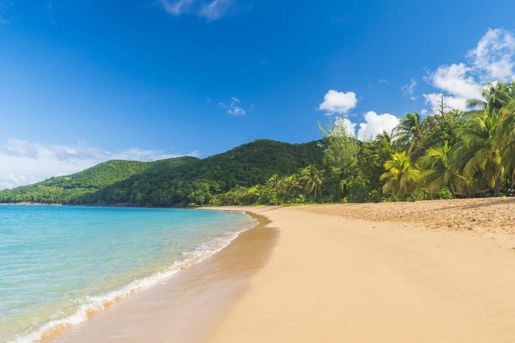 Croisière en Guadeloupe plage de Deshaies