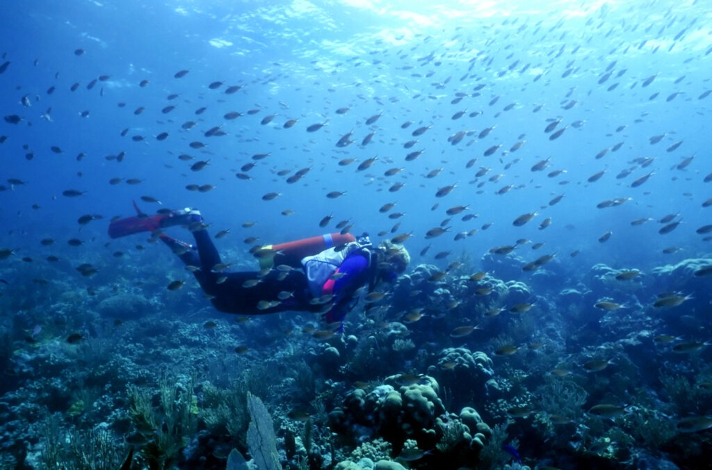 Plongée Saint Vincent et les Grenadines croisière