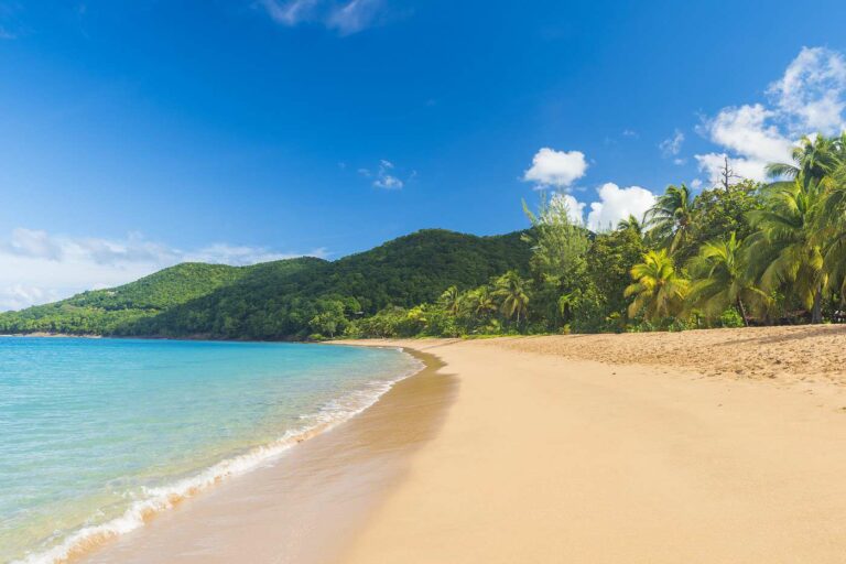 croisiere catamaran guadeloupe