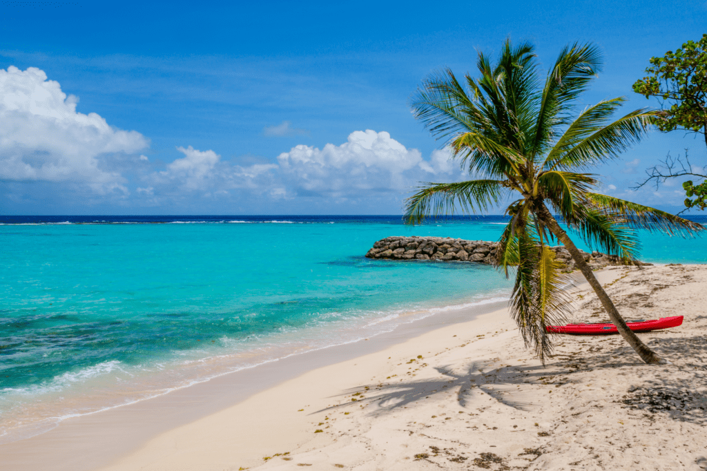 croisiere catamaran guadeloupe vacances