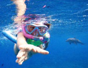 snorkeling croisiere catamaran