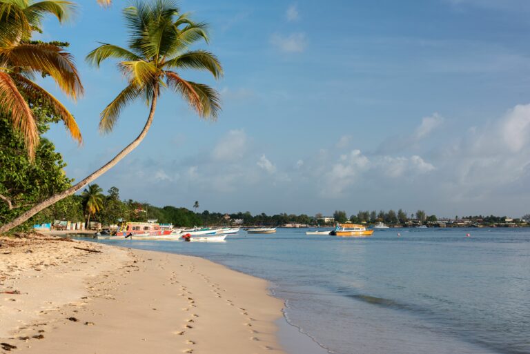 croisiere catamaran caraibes