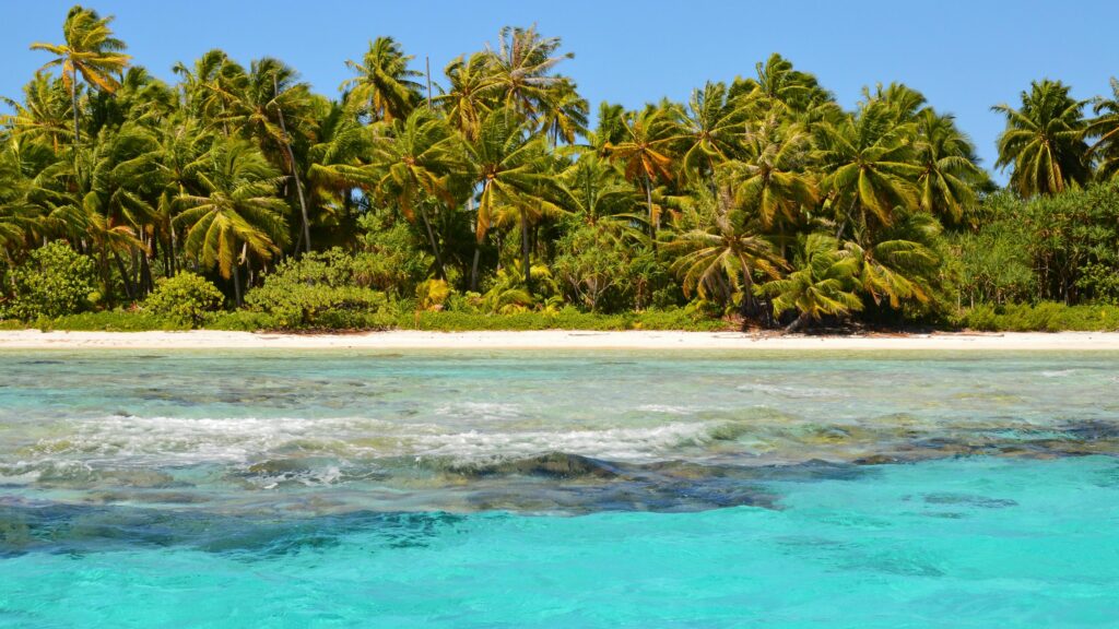 croisiere catamaran catamaran selection polynesie